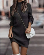 Elarine Knit Sweater Dress