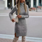 Veronae Knit Turtleneck Dress